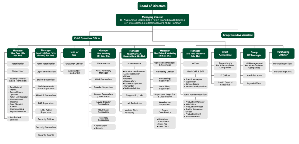 Organizational structure – Ideal